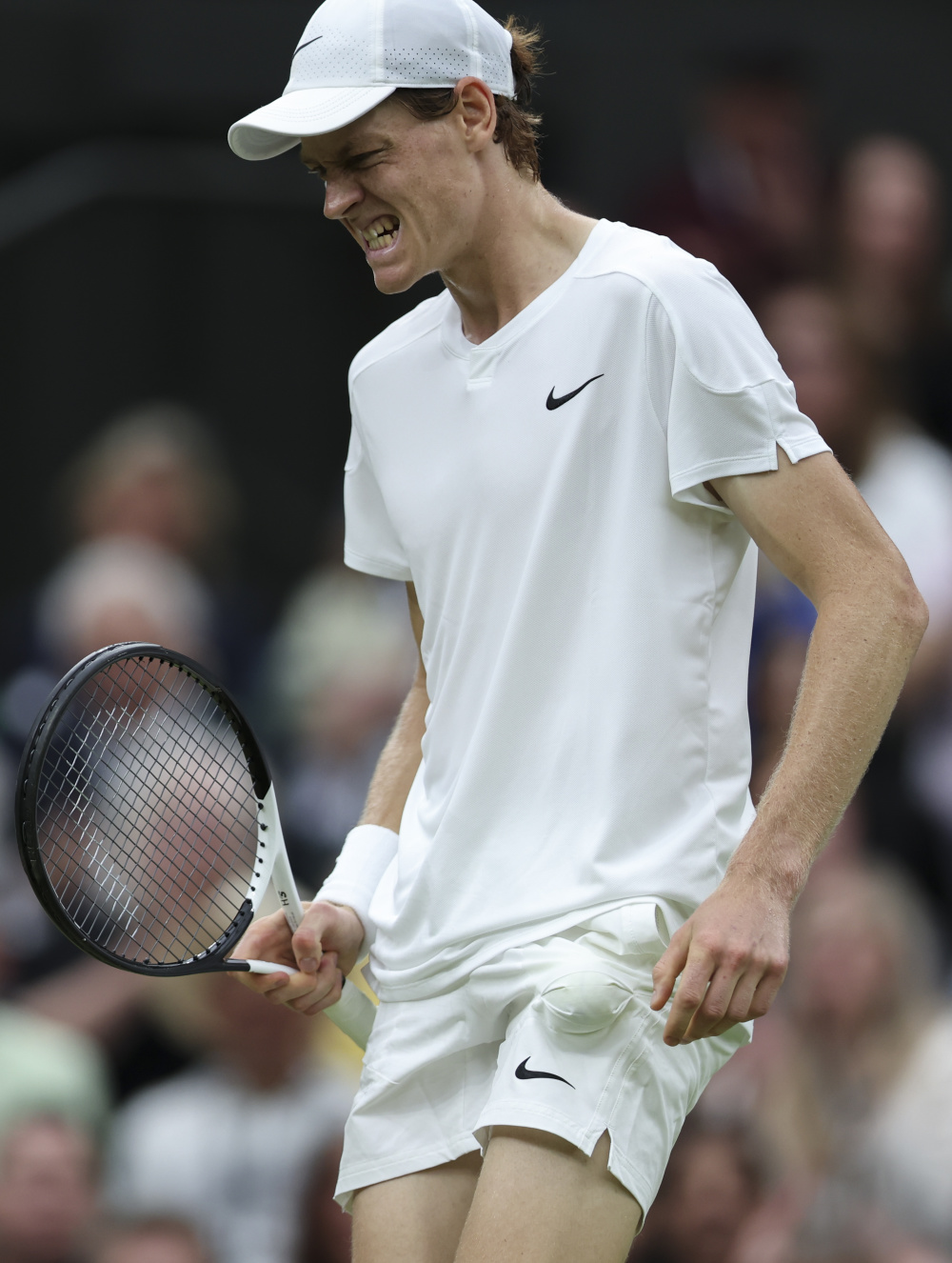 预计全年减 预计全年减